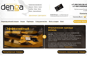 Портфолио продвижения сайта denga-russia.ru